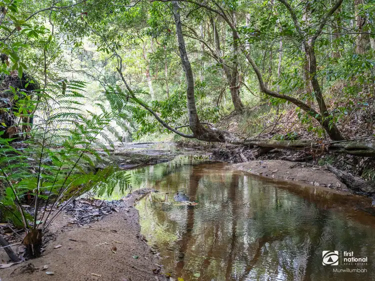 Third view of Homely rural property listing, 563 Commissioners Creek Road, Commissioners Creek NSW 2484