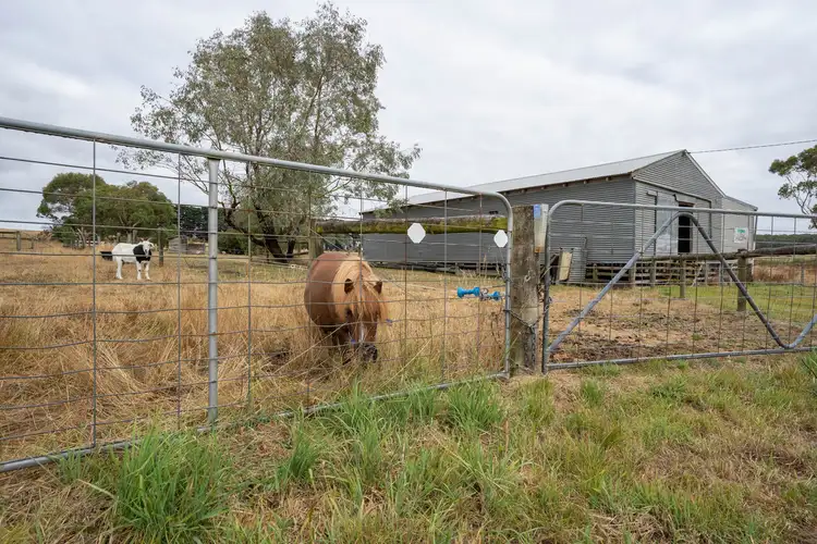 Sixth view of Homely rural property listing, LOT 2 Timboon-Nullawarre Road, Brucknell VIC 3268