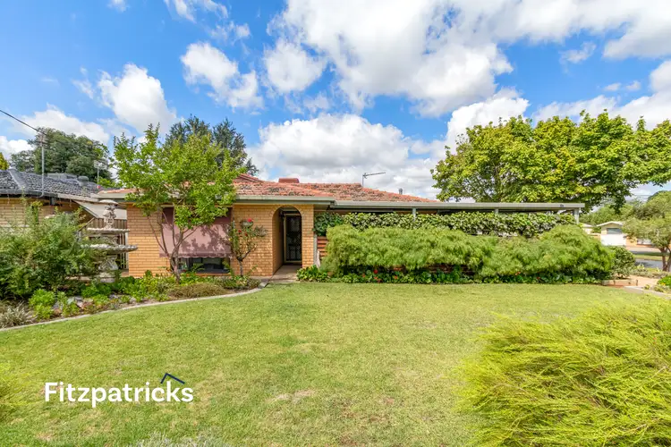 Main view of Homely house listing, 16 Oleander Crescent, Lake Albert NSW 2650