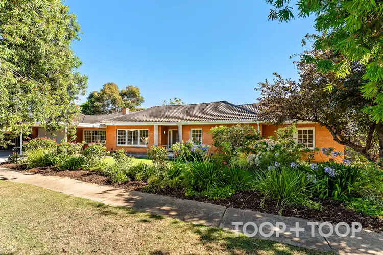 107 Sunshine Avenue, Hove SA 5048