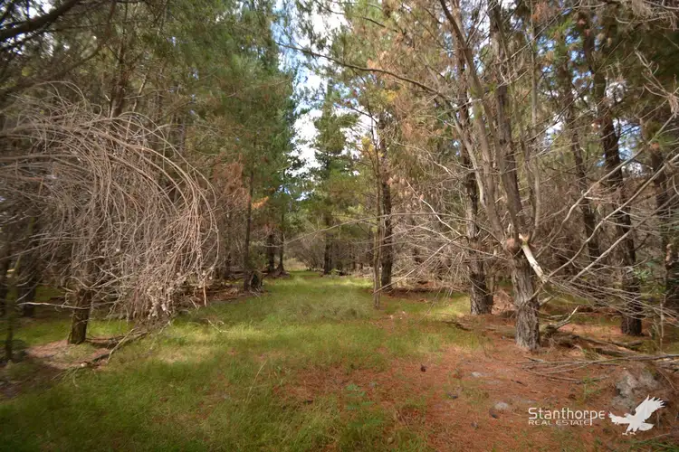 Lot 86 Sunset Crescent, Sugarloaf QLD 4380