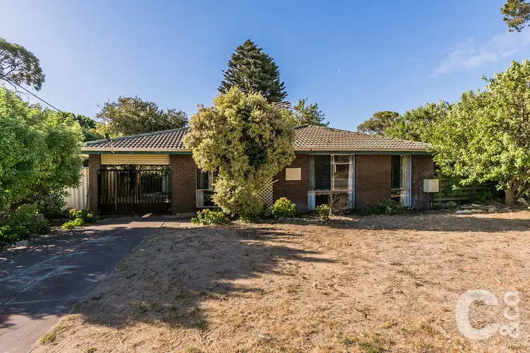 15 Bardoc Court, Hillman WA 6168