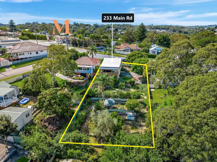 Main view of Homely house listing, 233 Main Road, Cardiff NSW 2285
