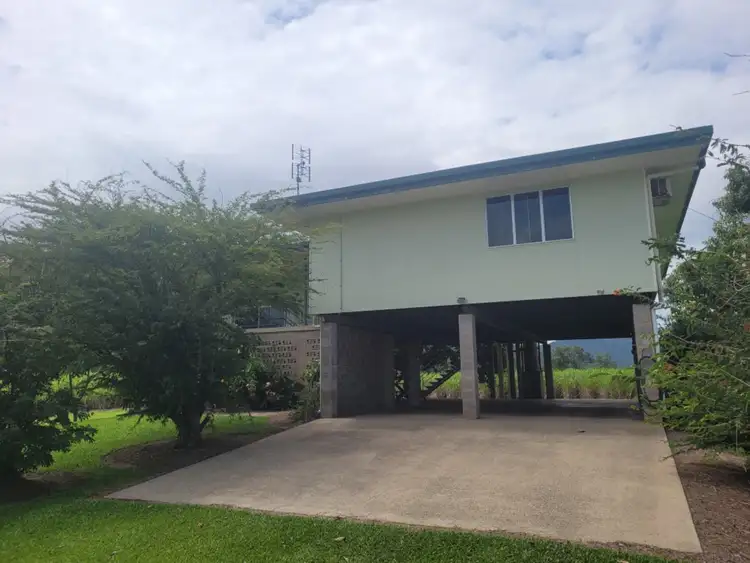 Main view of Homely house listing, 355 Christies Road, Bemerside QLD 4850