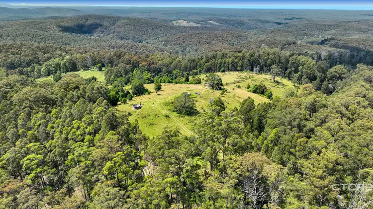 Second view of Homely land listing, 58 Towzer Creek Road, Cabbage Tree Creek VIC 3889