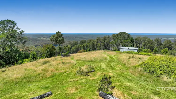 Fourth view of Homely land listing, 58 Towzer Creek Road, Cabbage Tree Creek VIC 3889