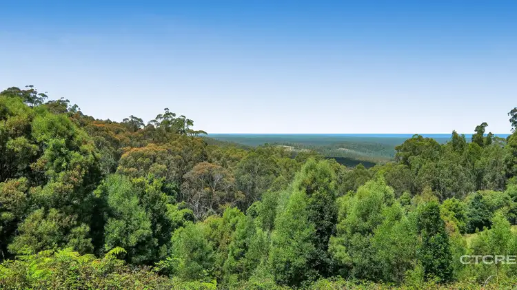 Seventh view of Homely land listing, 58 Towzer Creek Road, Cabbage Tree Creek VIC 3889