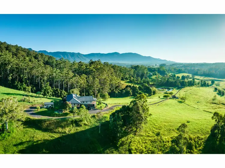 Main view of Homely rural property listing, 448 Gordonville Road, Bellingen NSW 2454