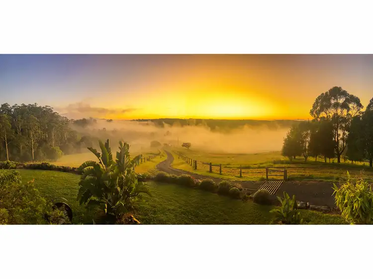 Third view of Homely rural property listing, 448 Gordonville Road, Bellingen NSW 2454
