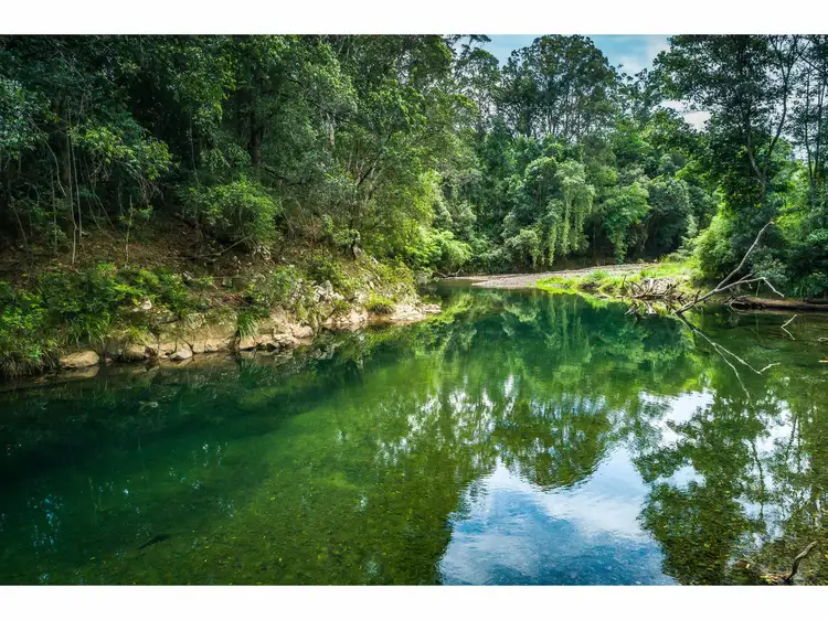 Fourth view of Homely rural property listing, 448 Gordonville Road, Bellingen NSW 2454