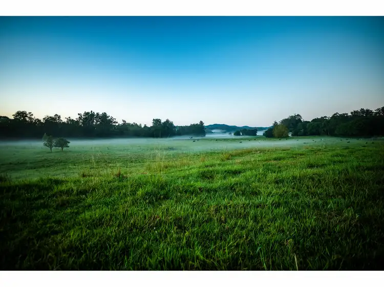 Fifth view of Homely rural property listing, 448 Gordonville Road, Bellingen NSW 2454