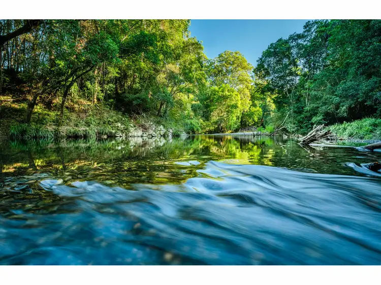 Seventh view of Homely rural property listing, 448 Gordonville Road, Bellingen NSW 2454