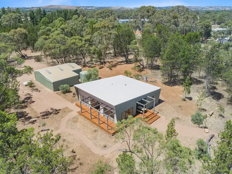 Main view of Homely rural property listing, 2997 Sturt Highway, Nuriootpa SA 5355