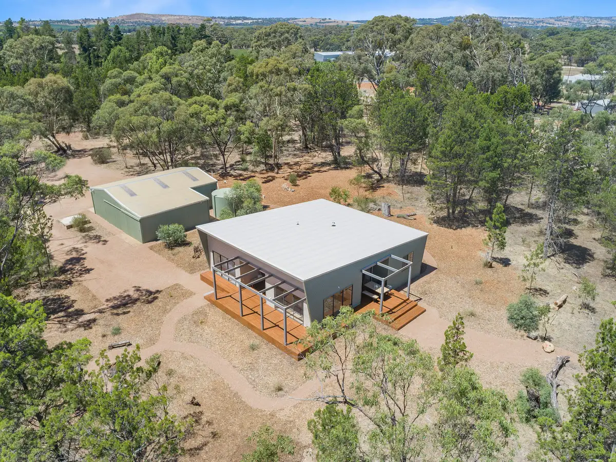 Main view of Homely rural property listing, 2997 Sturt Highway, Nuriootpa SA 5355