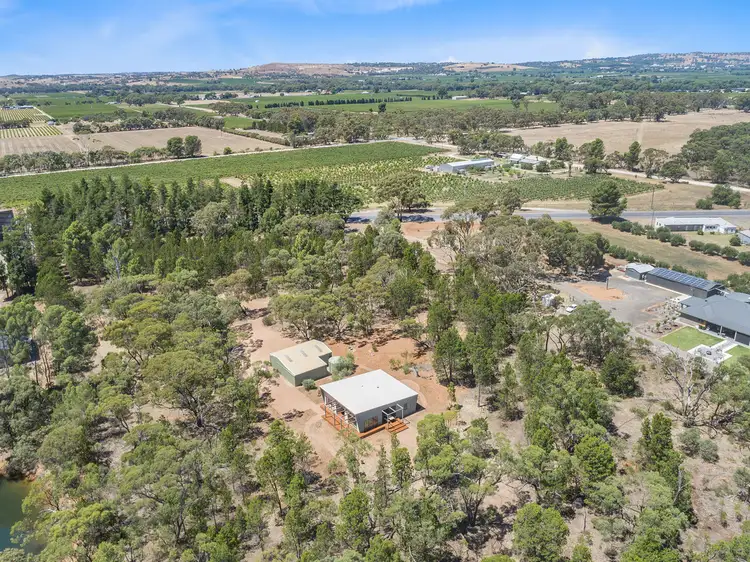 Fourth view of Homely rural property listing, 2997 Sturt Highway, Nuriootpa SA 5355