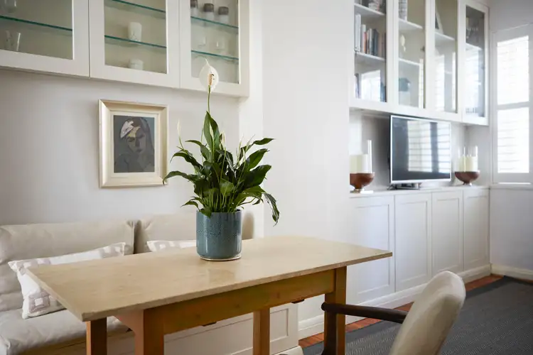 Third view of Homely apartment listing, 3/385 Liverpool Street, Darlinghurst NSW 2010