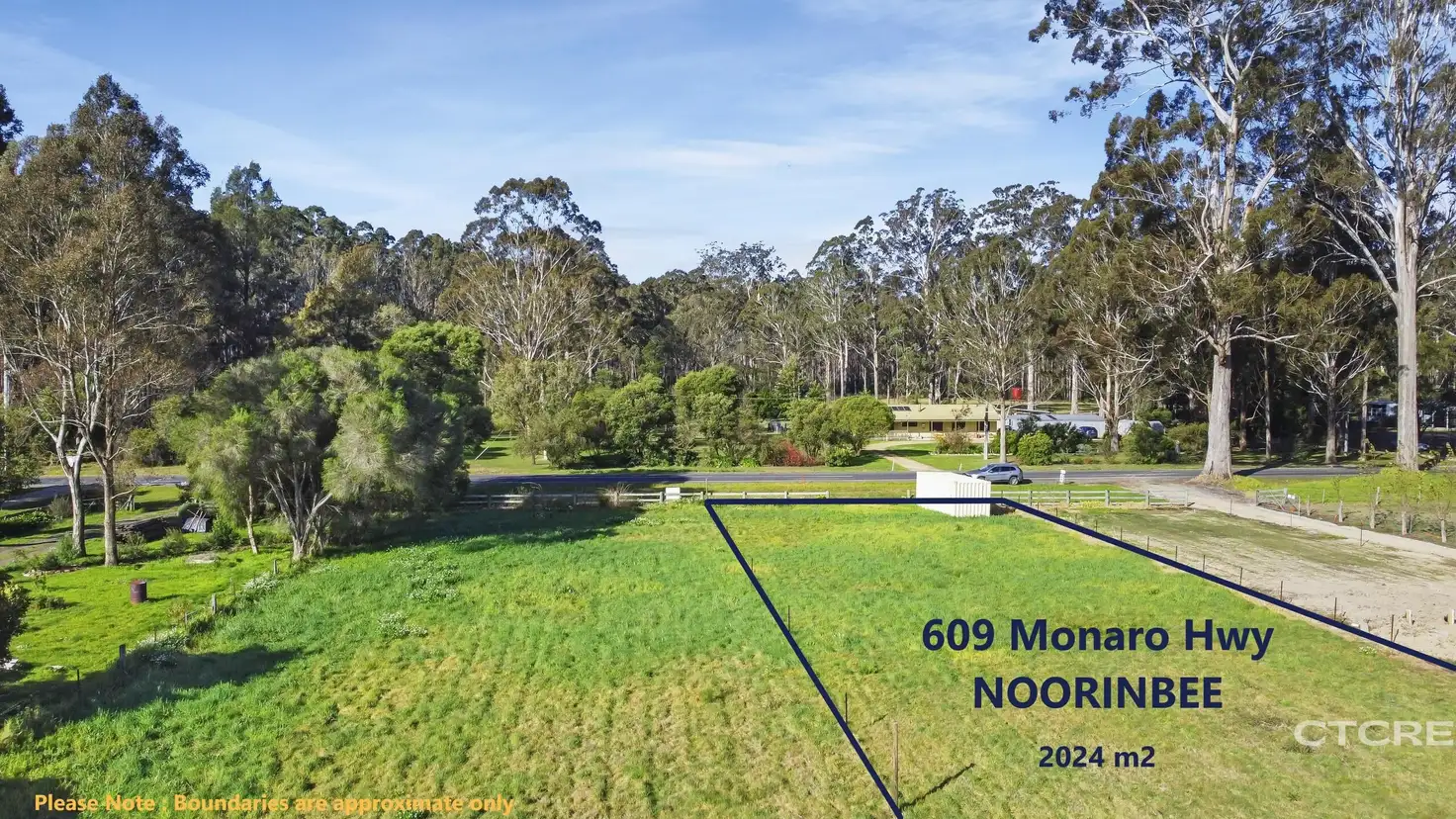 Main view of Homely land listing, 609 Monaro Highway, Noorinbee VIC 3890