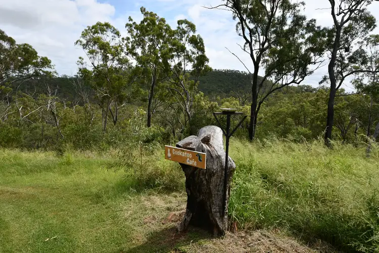 Sixth view of Homely rural property listing, 51599 Burnett Highway, Leydens Hill QLD 4714