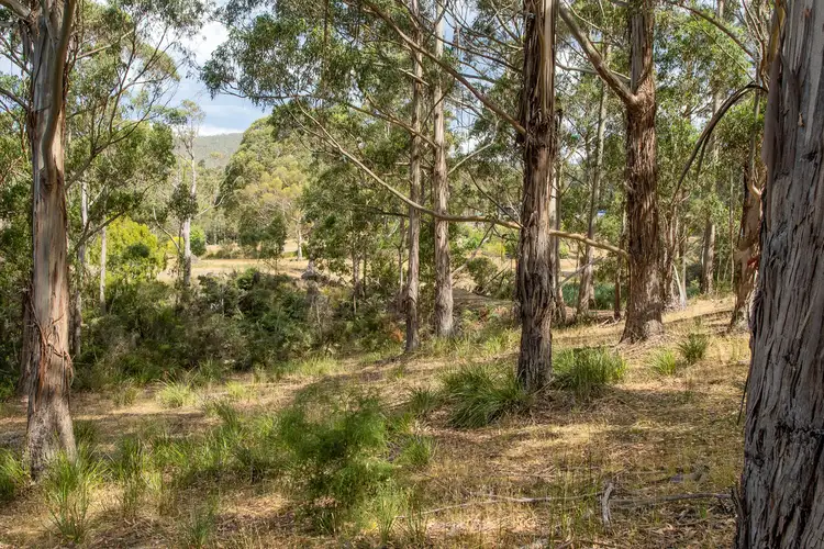 Third view of Homely land listing, LOT 28, 33 & 37 Cathedral Road, Margate TAS 7054