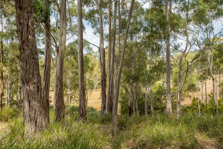 Fourth view of Homely land listing, LOT 28, 33 & 37 Cathedral Road, Margate TAS 7054