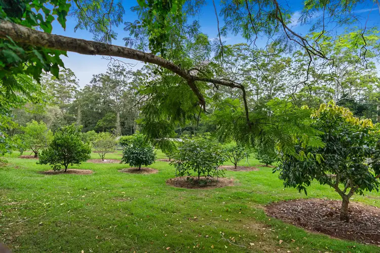 Fourth view of Homely house listing, 1 Murphy Road, Ravensbourne QLD 4352