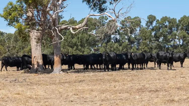 Second view of Homely rural property listing, Lot 3001 Hopkins Road, Chapman Hill WA 6280