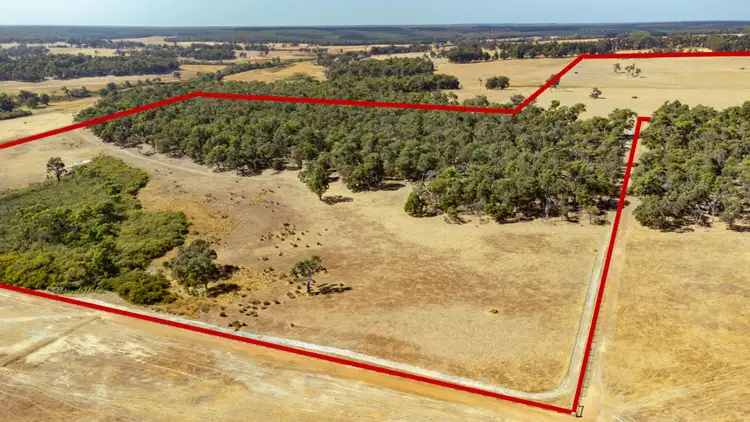 Sixth view of Homely rural property listing, Lot 3001 Hopkins Road, Chapman Hill WA 6280