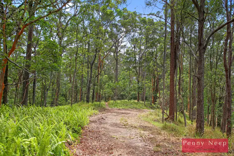 Second view of Homely land listing, 39 Pacific View Drive, Tinbeerwah QLD 4563