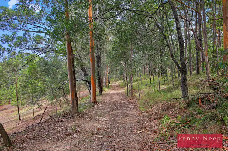 Third view of Homely land listing, 39 Pacific View Drive, Tinbeerwah QLD 4563