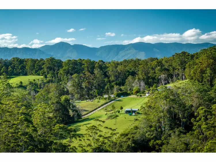 Main view of Homely rural property listing, 617 Bowraville Road, Bellingen NSW 2454