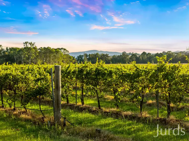 Main view of Homely rural property listing, 379 Wilderness Road, Lovedale NSW 2325