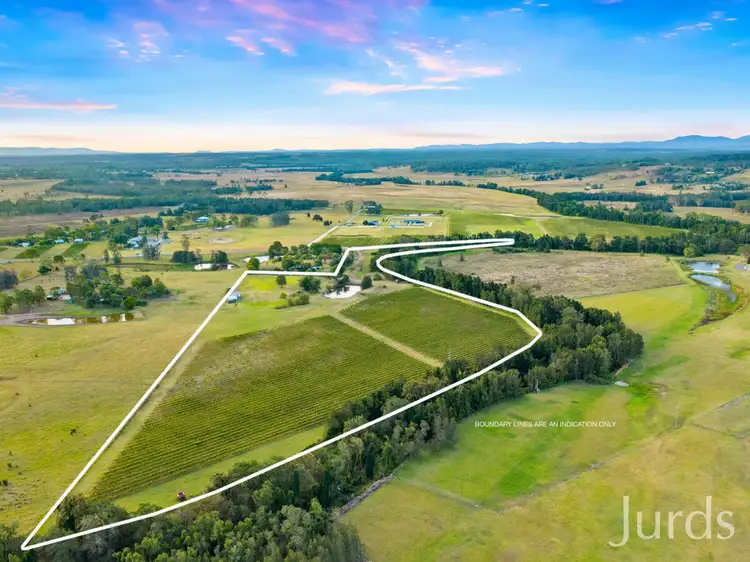 Second view of Homely rural property listing, 379 Wilderness Road, Lovedale NSW 2325