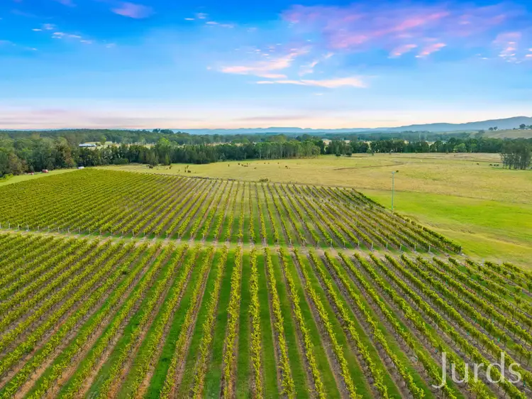 Sixth view of Homely rural property listing, 379 Wilderness Road, Lovedale NSW 2325