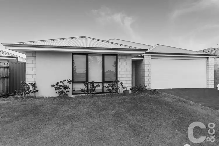 19 Catseye Crescent, Wellard WA 6170