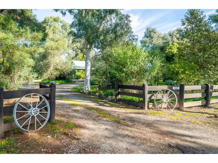 Main view of Homely house listing, 242 Dights Forrest Road, Jindera NSW 2642