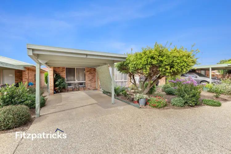 3/10 Bulolo Street, Ashmont NSW 2650
