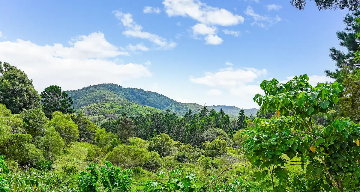 Main view of Homely house listing, 85 Bowden Close, Tallebudgera QLD 4228