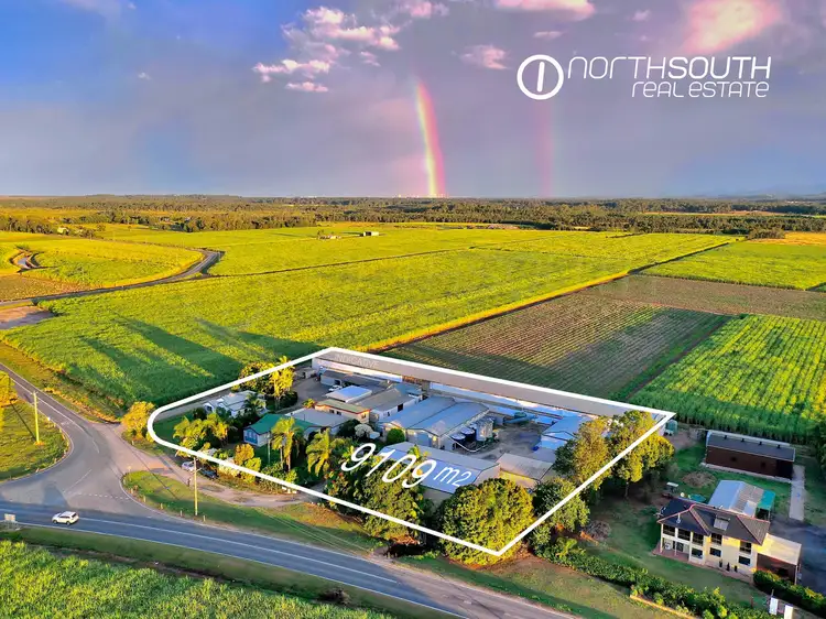 Main view of Homely rural property listing, 752 Pimpama Jacobs Well Road, Norwell QLD 4208
