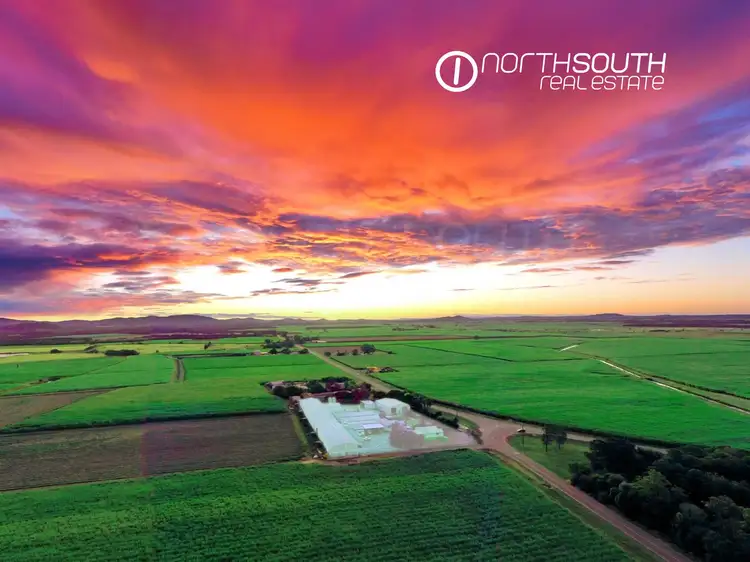 Second view of Homely rural property listing, 752 Pimpama Jacobs Well Road, Norwell QLD 4208