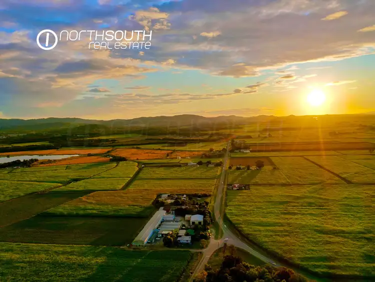 Third view of Homely rural property listing, 752 Pimpama Jacobs Well Road, Norwell QLD 4208