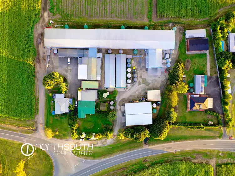 Fourth view of Homely rural property listing, 752 Pimpama Jacobs Well Road, Norwell QLD 4208