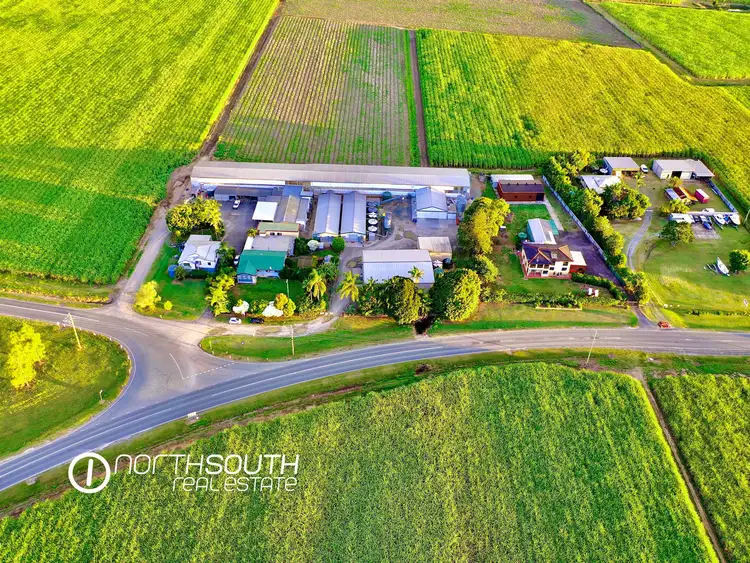 Fifth view of Homely rural property listing, 752 Pimpama Jacobs Well Road, Norwell QLD 4208