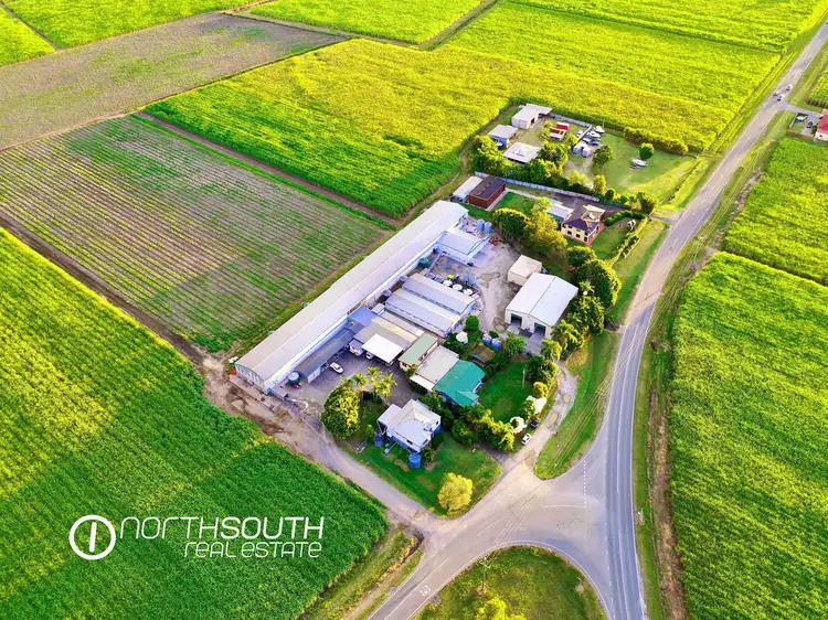 Sixth view of Homely rural property listing, 752 Pimpama Jacobs Well Road, Norwell QLD 4208