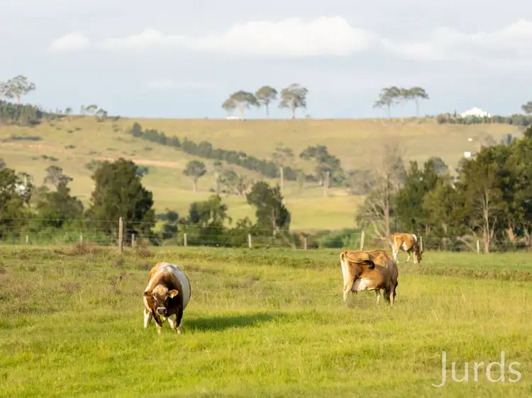 Sixth view of Homely rural property listing, 103 Dickenson Road, Melville NSW 2320