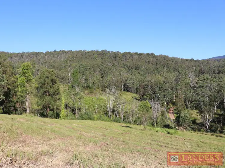 Main view of Homely rural property listing, 1184 Caparra Road, Caparra NSW 2429