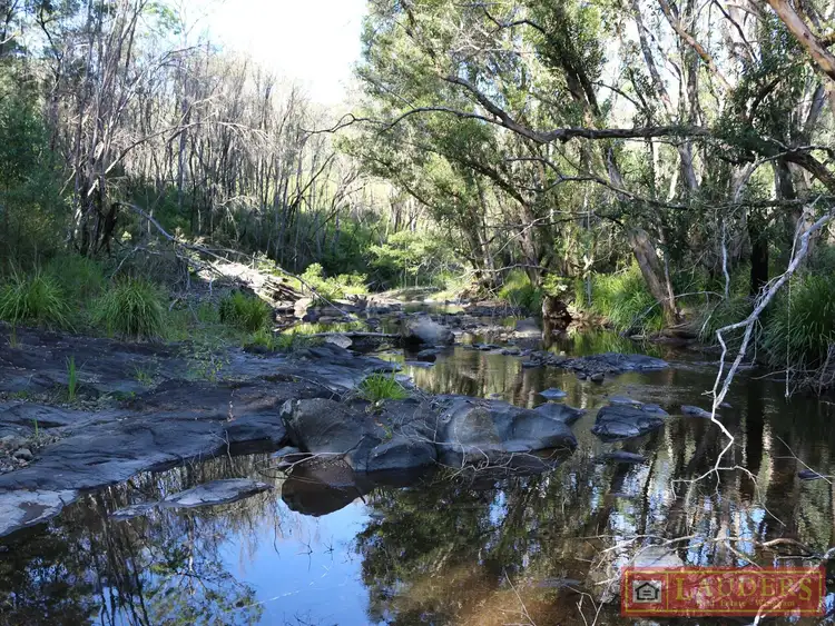 Seventh view of Homely rural property listing, 1184 Caparra Road, Caparra NSW 2429