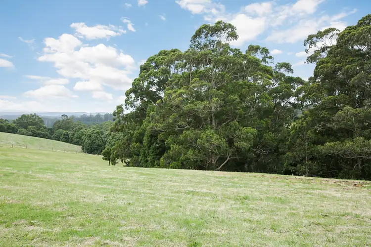 Second view of Homely rural property listing, 150 Old Colac Road, Beech Forest VIC 3237
