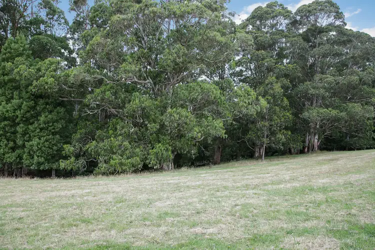 Fourth view of Homely rural property listing, 150 Old Colac Road, Beech Forest VIC 3237