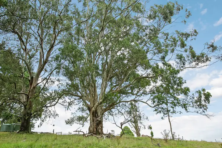 Fifth view of Homely rural property listing, 150 Old Colac Road, Beech Forest VIC 3237