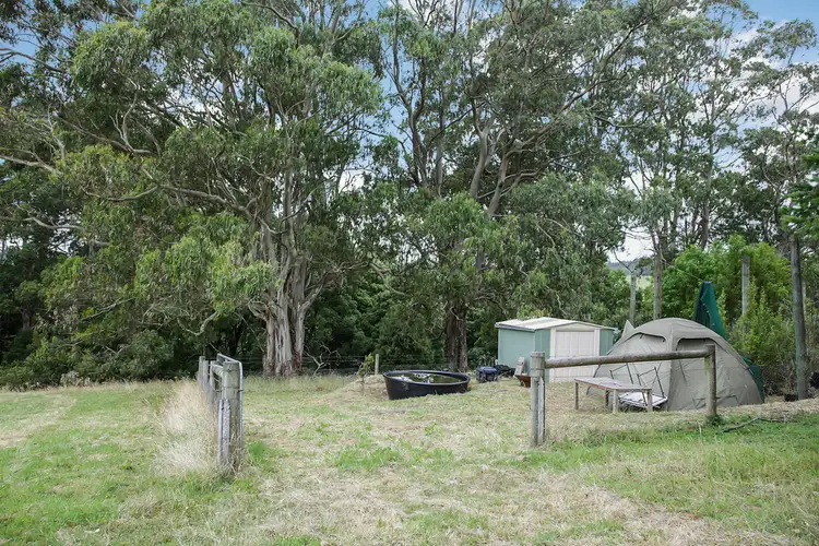 Sixth view of Homely rural property listing, 150 Old Colac Road, Beech Forest VIC 3237